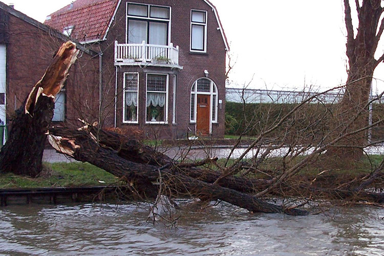 Eerste hulp bij stormschade