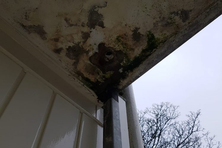 Doorslaand vocht en schimmel?